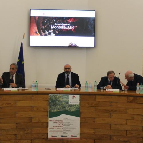 Consorzio Castagna Montella IGP