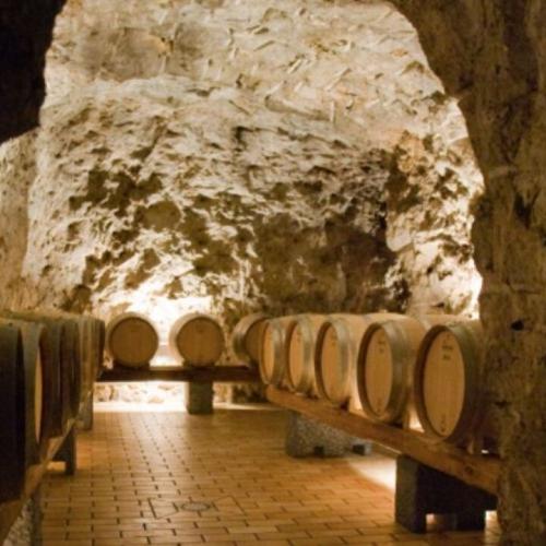 Cantine Emergenti, in Campania un tour binomio di enogastronomia e musica 