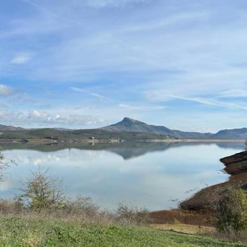 Dove la natura incontra la quiete: il Lago di Conza, paradiso per gli amanti del Birdwatching