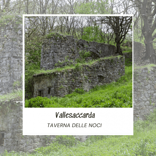 Vallesaccarda nasce in una posizione particolare, quasi strategica