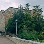 Zungoli, Castello dei Susanna