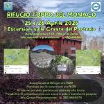 locandina pietrastornina